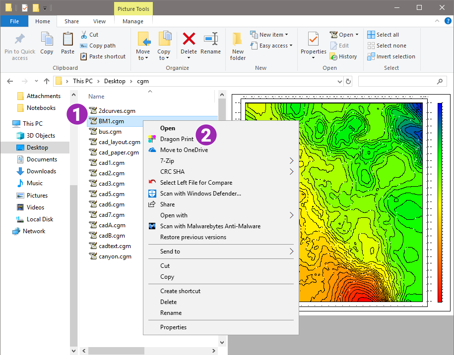 CGM Preview Handler + Dragon Print in Windows File Explorer